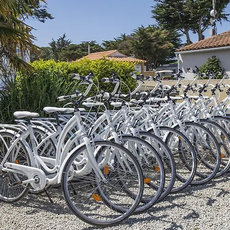 Camping Campiotel Des Dunes Ars-en-Ré